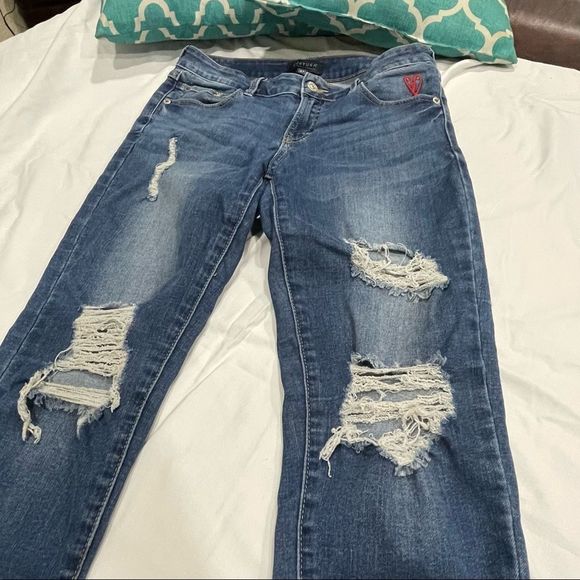 Delina Distressed‎ Embroidered Skinny Jean - Picture 7 of 16